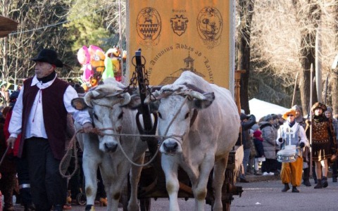 A gennaio si svolgerà la 17^ edizione della fiera di Sant’Antonio Abate