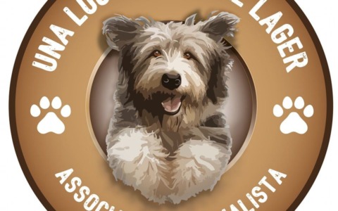 Cani del rifugio in crisi: mancano le scatolette