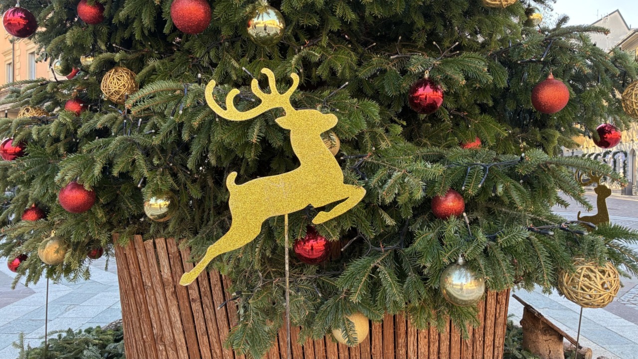 Concerto di Natale del Lions Club Saronno Host Solidalia