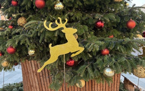 Concerto di Natale del Lions Club Saronno Host Solidalia