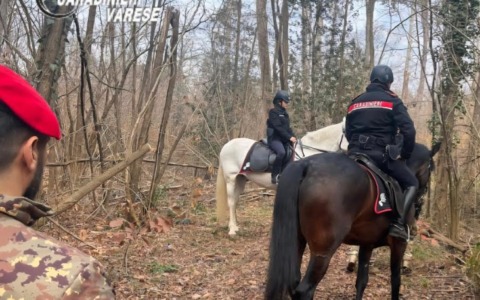 Intervento dei Carabinieri a cavallo nel Parco Pineta contro lo spaccio di droga