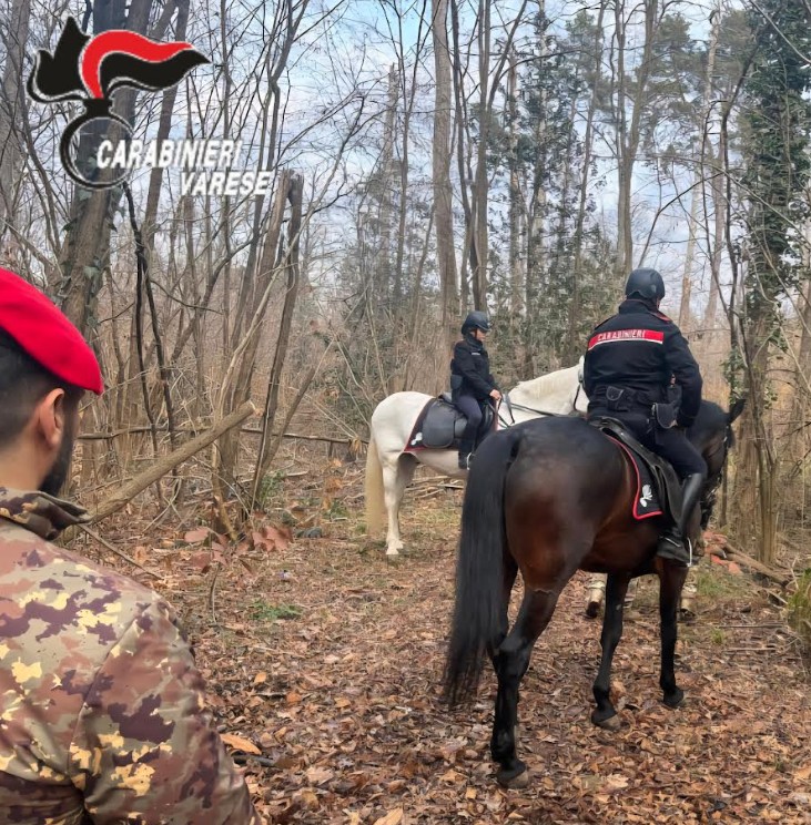 Intervento dei Carabinieri a cavallo nel Parco Pineta contro lo spaccio di droga