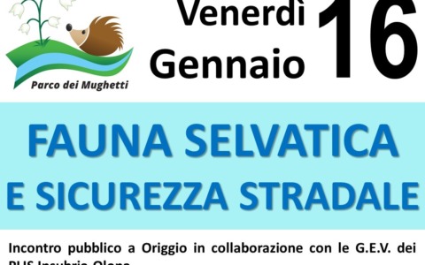 Sicurezza stradale e fauna selvatica