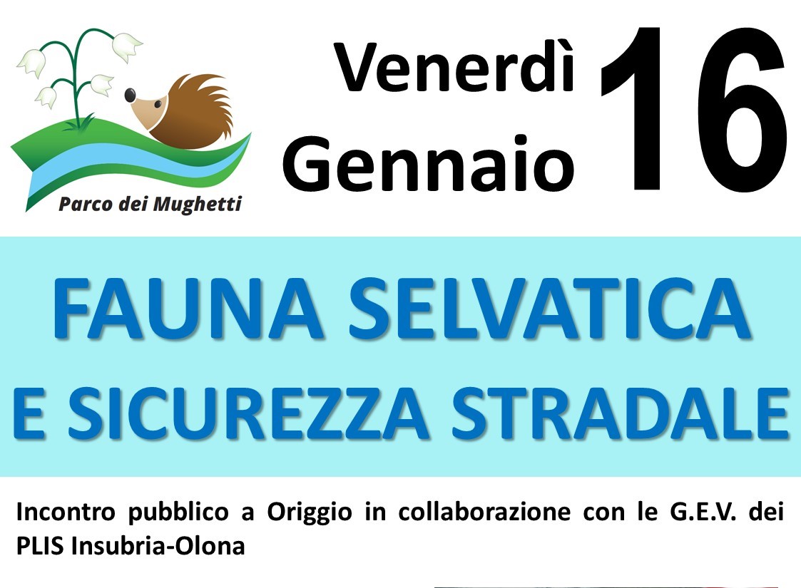 Sicurezza stradale e fauna selvatica