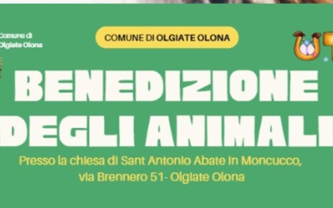A Olgiate Olona si celebra la Benedizione degli animali per Sant’Antonio Abate