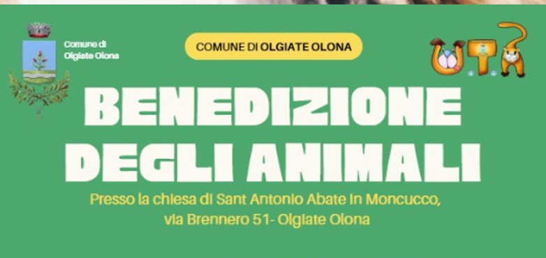 A Olgiate Olona si celebra la Benedizione degli animali per Sant’Antonio Abate