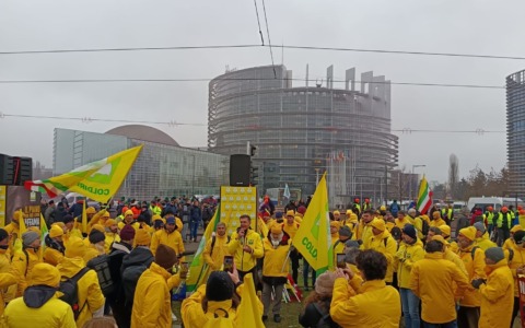 Agricoltori di Coldiretti Varese in piazza a Strasburgo contro il Mercosur