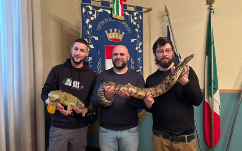 Busto Arsizio ospita serpenti e camaleonti in un evento straordinario