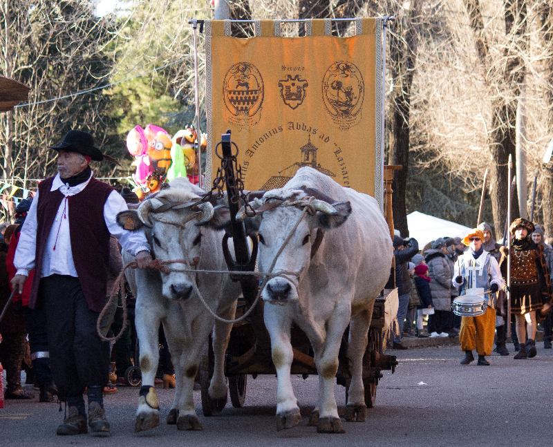 Eventi imperdibili a Varese e provincia per il weekend del 10 e 11 gennaio 2026
