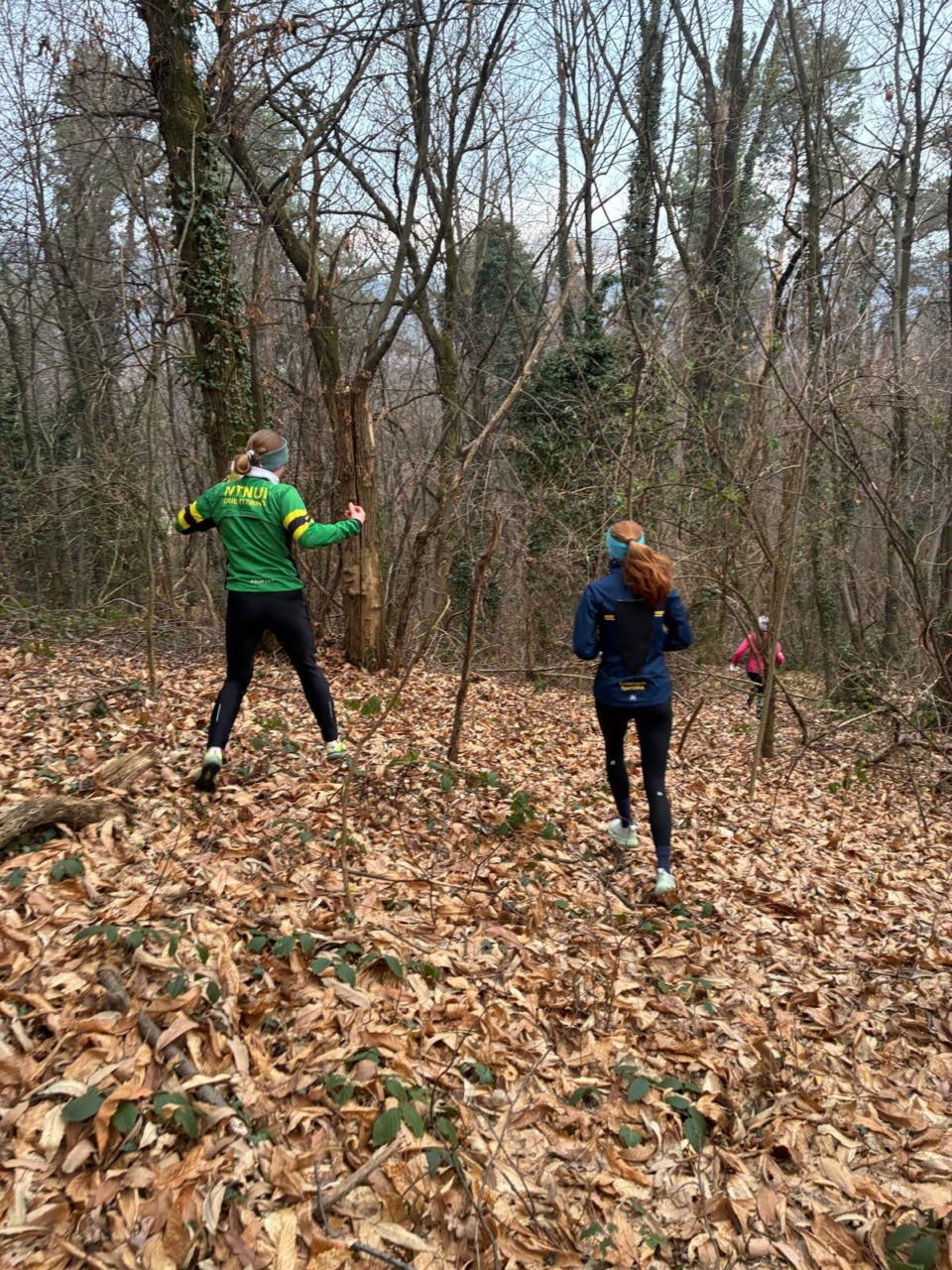 La nazionale norvegese di orientering si allena a Vergiate