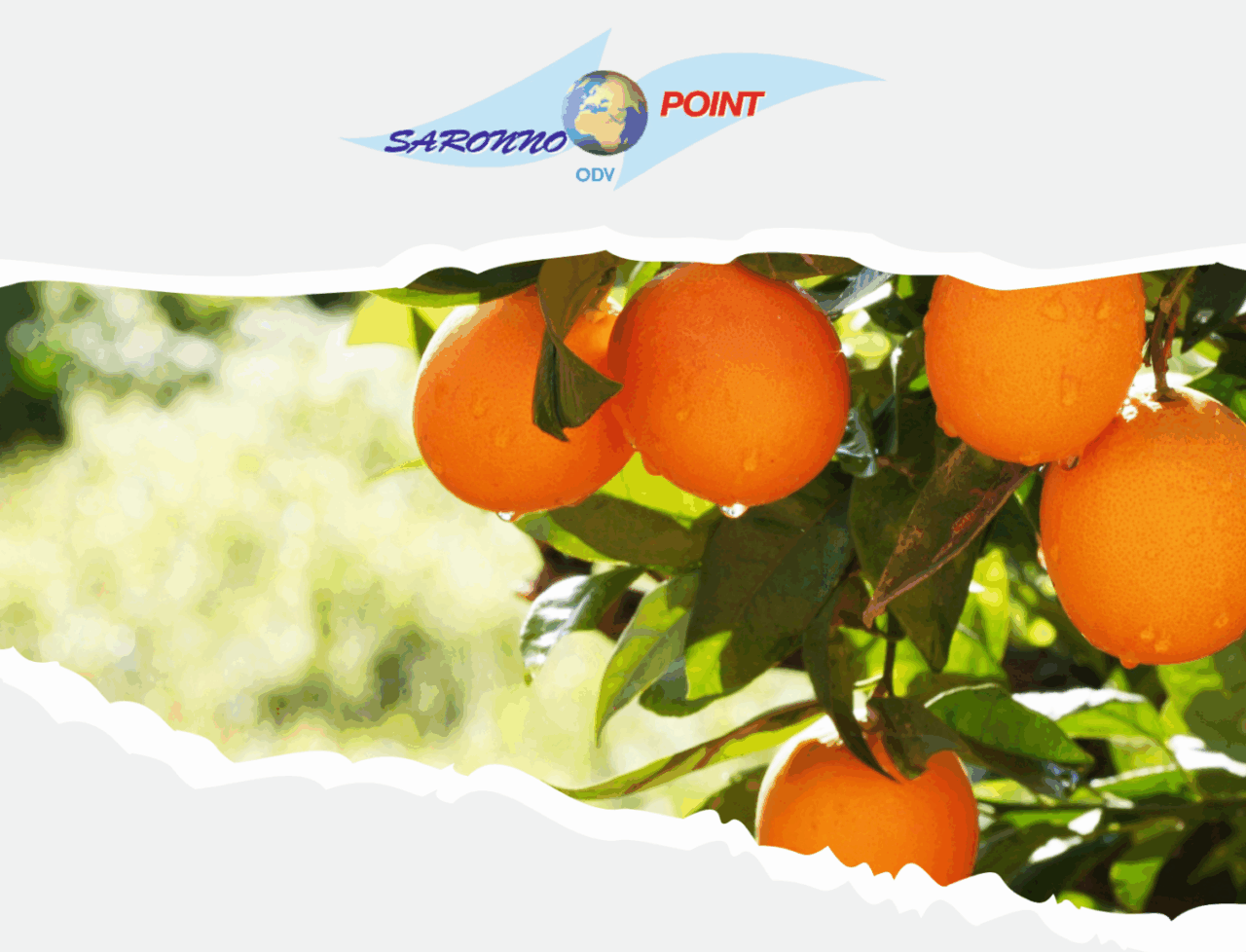 Ritorna l’iniziativa delle arance a favore di Saronno Point ODV