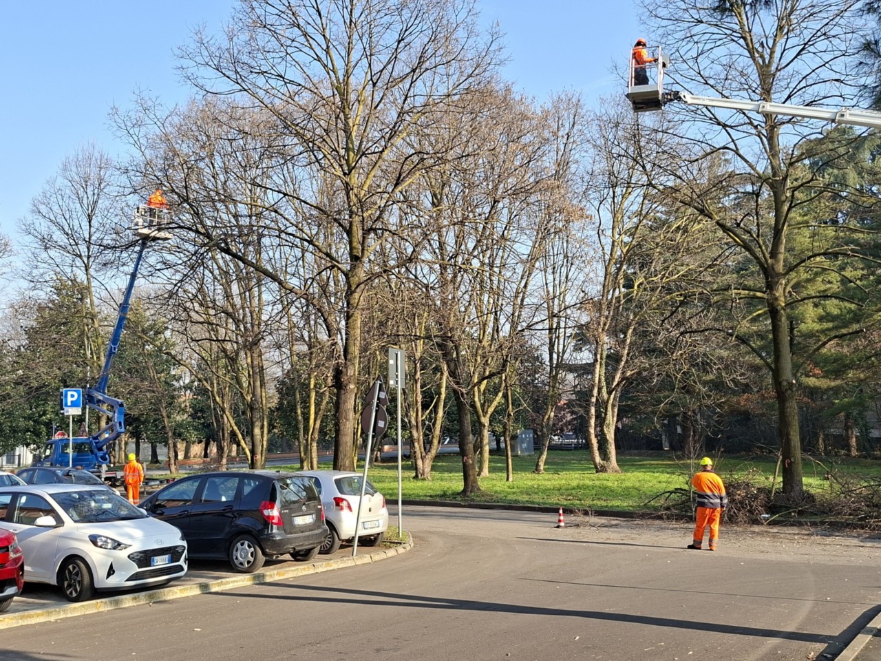 Partiti i lavori di manutenzione straordinaria del verde pubblico