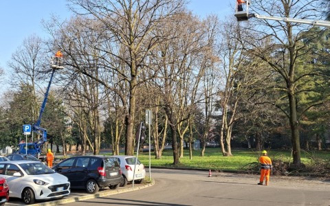Partiti i lavori di manutenzione straordinaria del verde pubblico