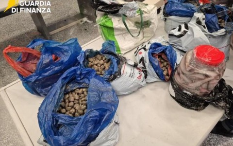 Scoperti 400 chili di pesce importato illegalmente dalla Cina