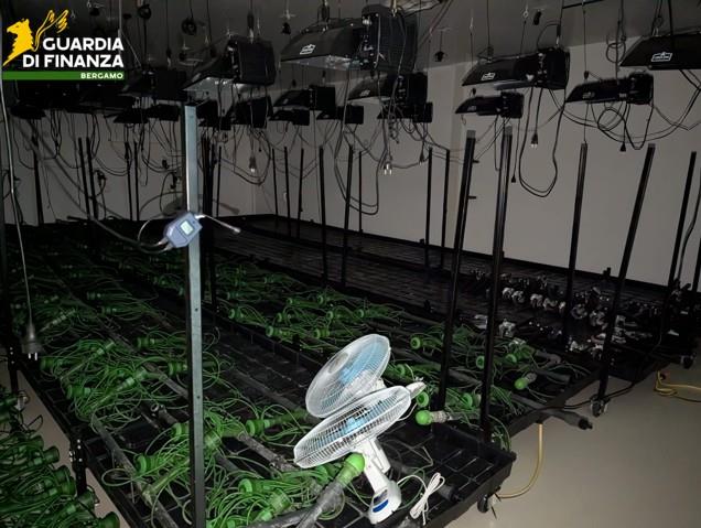 Azienda cosmetica trasformata in serra per Marijuana