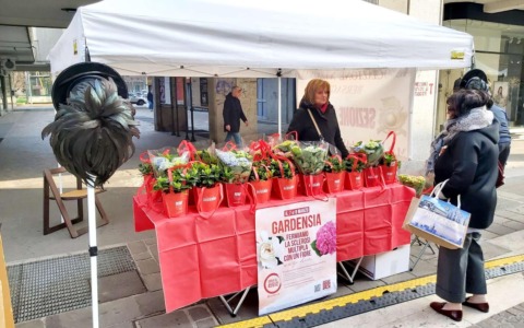 Bersaglieri in piazza per “Gardensia”: un fiore contro la sclerosi multipla