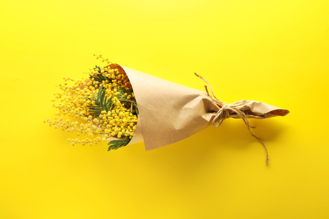 Festa della Donna: Un momento di riflessione e celebrazione