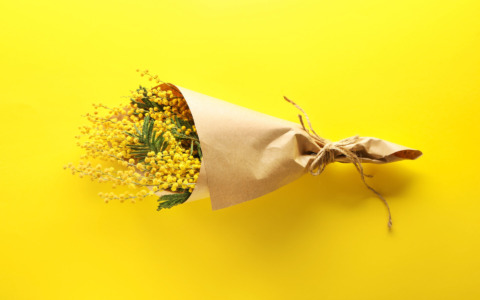 Festa della Donna: Un momento di riflessione e celebrazione