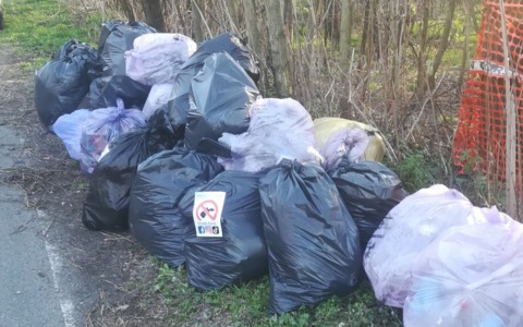 In arrivo la Giornata ecologica al Parco dei Mughetti