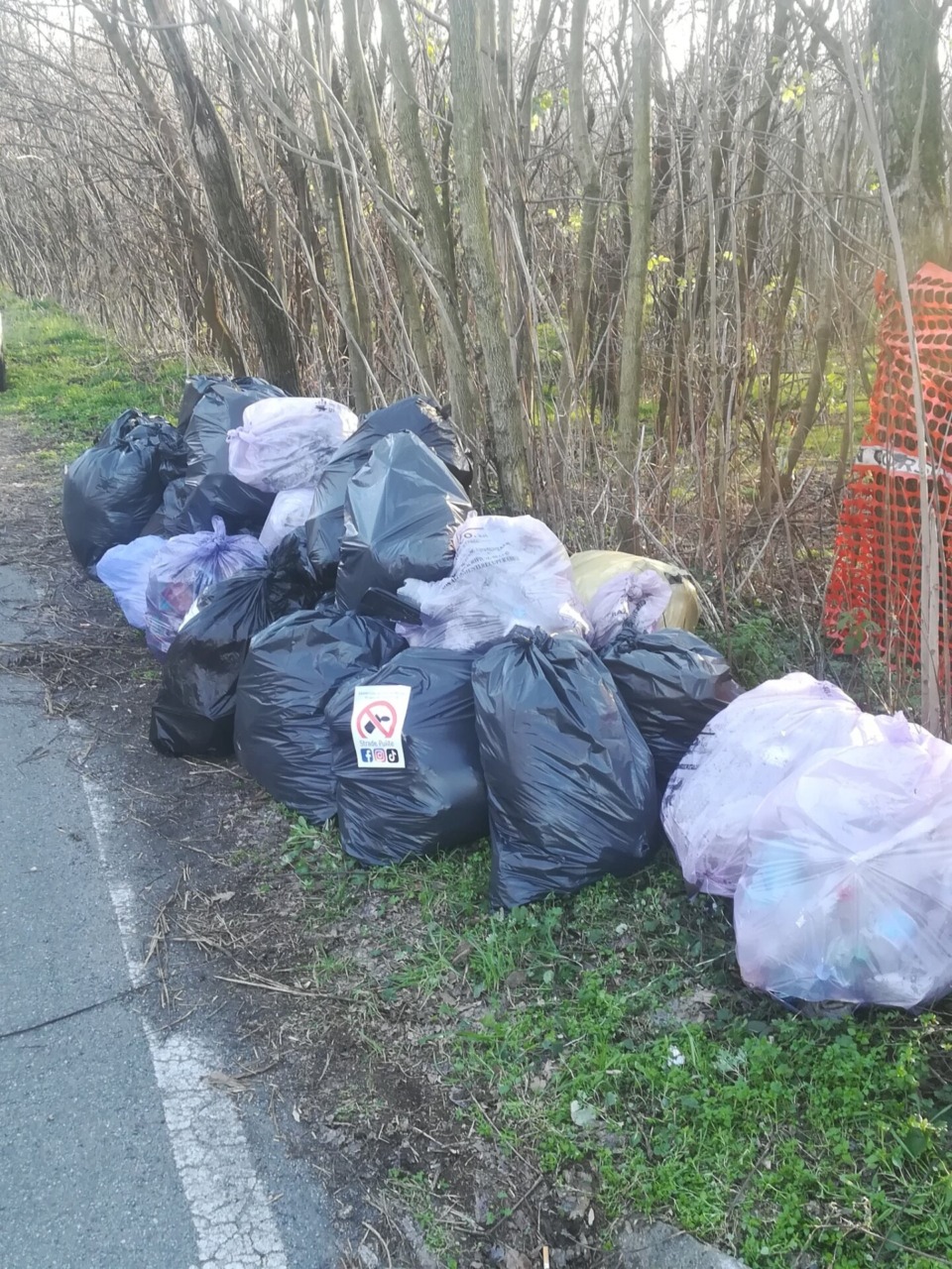 In arrivo la Giornata ecologica al Parco dei Mughetti