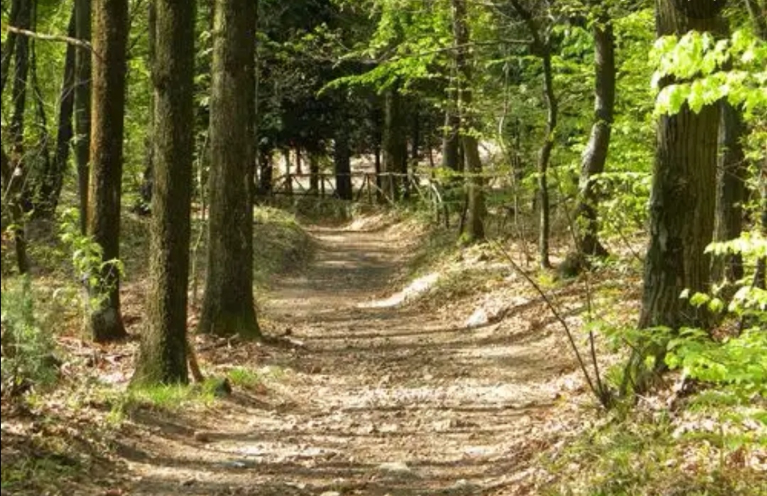 Serata informativa su fauna selvatica e sicurezza stradale