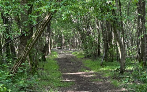 Domenica torna la Mezza dei Boschi a Cascina Leva