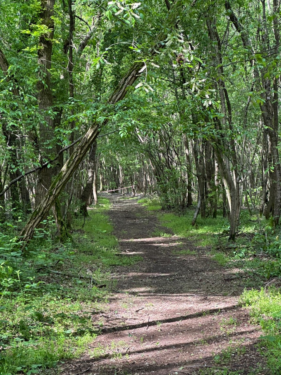 Domenica torna la Mezza dei Boschi a Cascina Leva