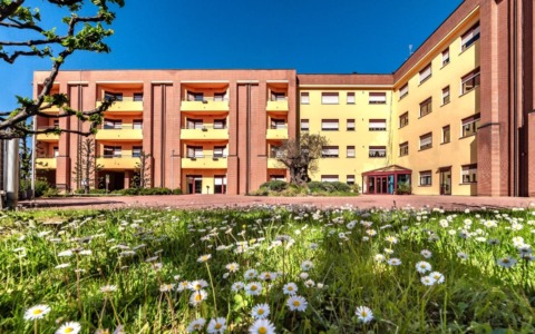 Federico Pirola nominato nel CdA di Focris