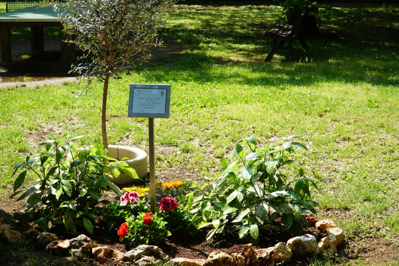 Inaugurata una targa commemorativa per suor Annunciata