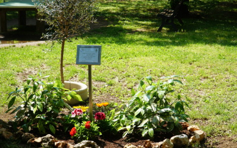 Inaugurata una targa commemorativa per suor Annunciata