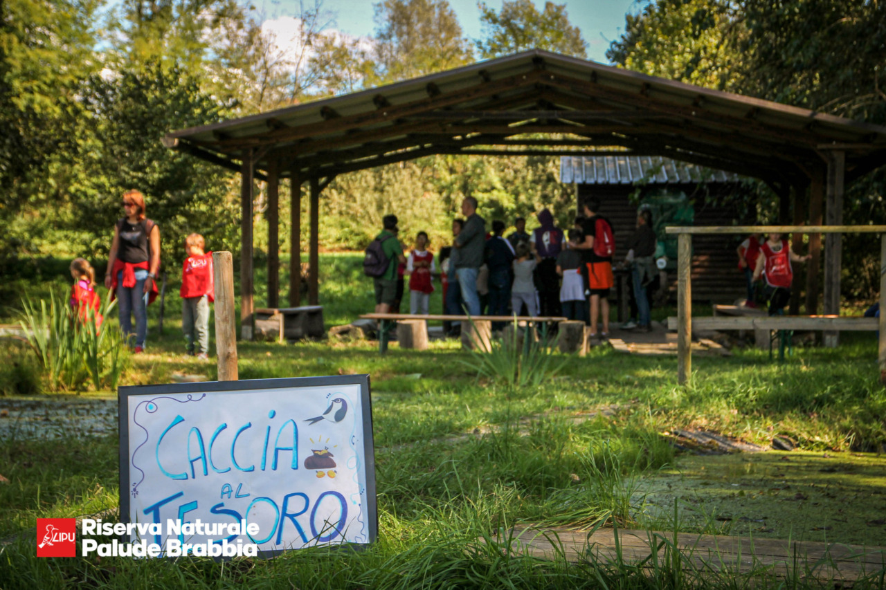 Pasquetta all’Oasi Palude Brabbia: un giorno nella natura