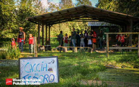 Pasquetta all’Oasi Palude Brabbia: un giorno nella natura