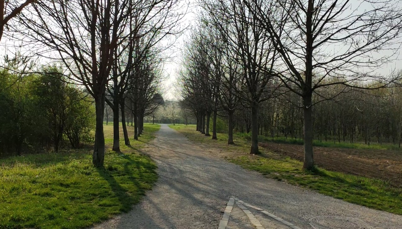 Raduno non autorizzato al Parco Lura: musica e disagi fino a notte fonda