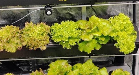 Il Progetto Green School del Geymonat: Formare i Cittadini del Futuro