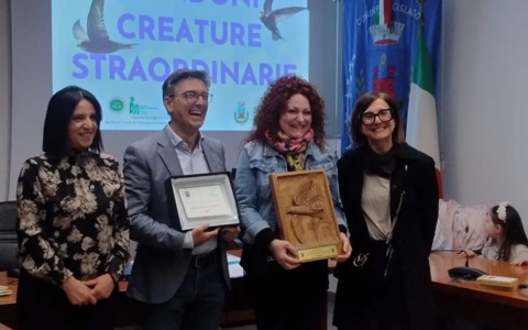 Riconoscimenti per il concorso “Rondoni in vetrina” a Cislago