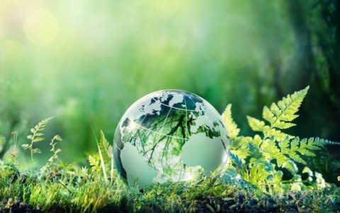 Varese Green Network 2026: aperta la call per progetti sostenibili