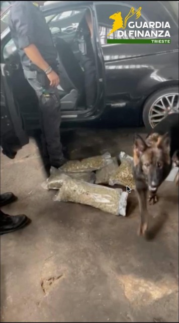 Saronno: sequestrati 20 chili di cocaina in un’operazione contro il traffico di droga
