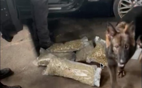 Saronno: sequestrati 20 chili di cocaina in un’operazione contro il traffico di droga